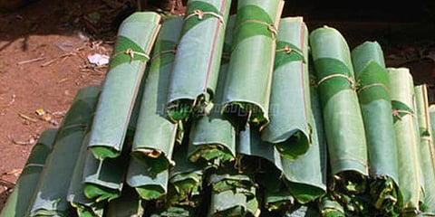 வாழை இலை விலை வீழ்ச்சி: விவசாயிகள் வருத்தம்