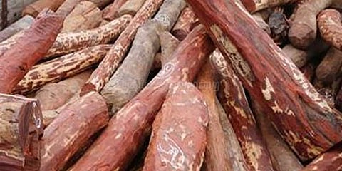 திருப்பதியில் ஒரு டன் செம்மரக்கட்டைகள் பறிமுதல்