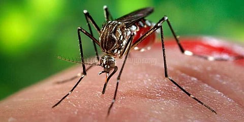 3 நாட்களுக்குள் சுற்றுப்புறத்தை தூய்மைப் படுத்த உத்தரவு