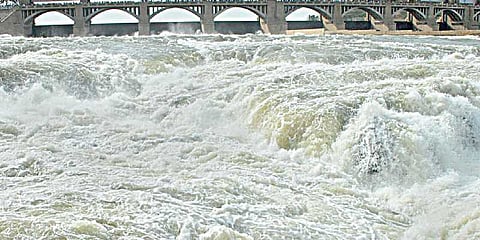 கடைமடைக்கு வராத அணை நீர்: விவசாயிகளை காத்த மழை
