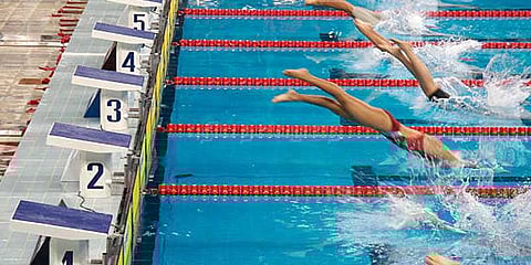 துறைமுகத்தை நீந்திக் கடக்கும் நீச்சல் போட்டி: நூற்றுக்கணக்கானோர் பங்கேற்பு