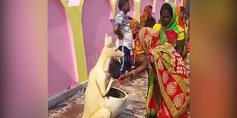 குப்பைத்தொட்டிக்கு அபிஷேகம் செய்த பெண்கள்: இப்படியும் ஒரு வினோத வழிபாடு!