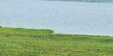 தொடர்மழையால் காஞ்சிபுரத்தில் நிரம்பிய 66 ஏரிகள்