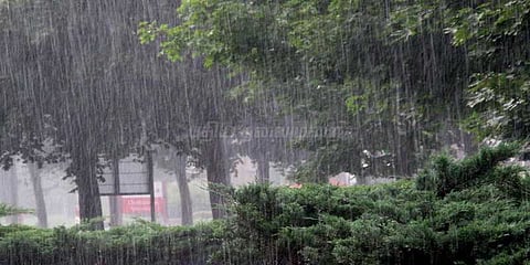 நாளை பள்ளிகளுக்கு விடுமுறை அறிவிக்கப்பட்டுள்ள மாவட்டங்கள்