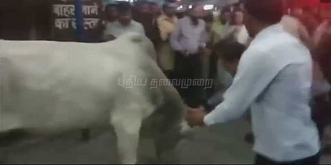 பாஜக எம்.பி ஹேமமாலினியை முட்ட ஓடி வந்த காளை!