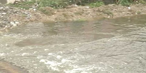 வேதாரண்யத்தில் குடியிருப்புகளை சூழ்ந்த மழைநீர்