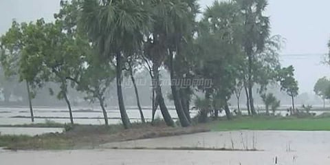 டெல்டா மாவட்டங்களில் கொட்டித்தீர்த்த மழை