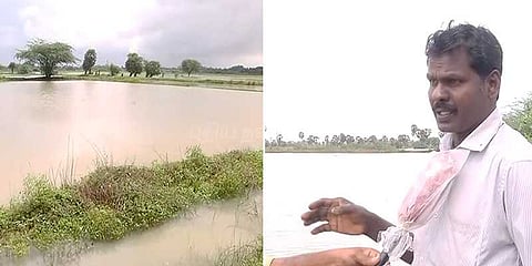 நாகையில் கனமழையால் பயிர்கள் நீரில் மூழ்கின: விவசாயிகள் வேதனை