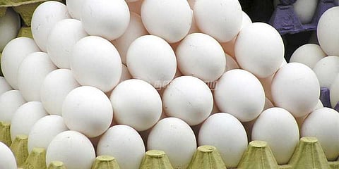 முட்டை விலை திடீர் உயர்வு