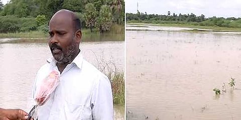 பருவமழையால் லட்சக்கணக்கான ஏக்கர் பயிர்கள் நீரில் மூழ்கியுள்ளன