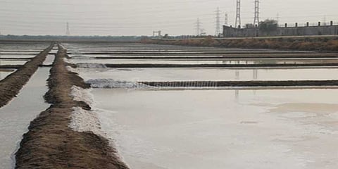 மழையால் உப்பு உற்பத்தி பாதிப்பு: நிவாரணம் வழங்க கோரிக்கை