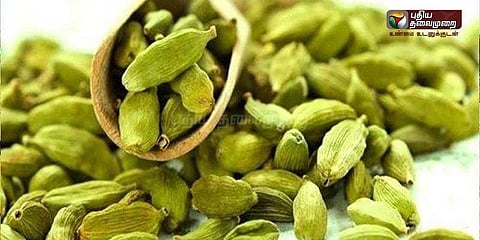 ஏலக்காய் விளைச்சல் அமோகம்: விவசாயிகள் மகிழ்ச்சி