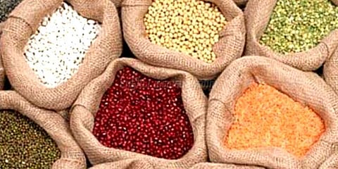 பருப்பு வகைகளுக்கு ஏற்றுமதிக்கான தடை நீக்கம்: அமைச்சரவை முடிவு