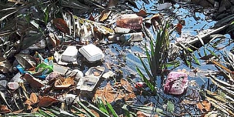 டெங்கு ஒழிப்பு நடவடிக்கை: கல்லூரிக்கு அபராதம்