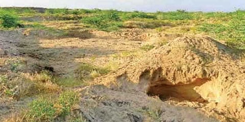 இரவு பகலாக நடைபெறும் மணல் கொள்ளை: விவசாயிகள் வேதனை