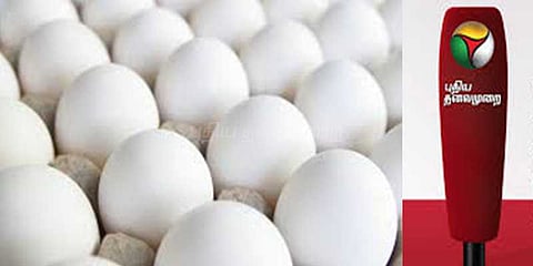 புதிய தலைமுறை செய்தி எதிரொலி: பள்ளிகளுக்கு அனுப்பட்ட முட்டைகள்