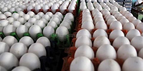 விற்பனை சரிவால் முட்டை விலை குறைந்தது