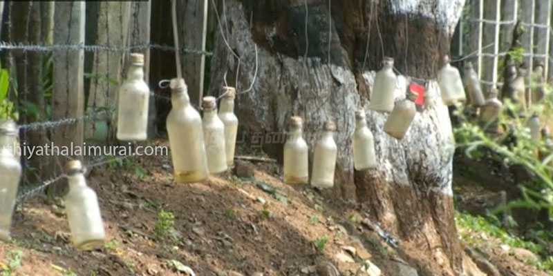 யானையை விரட்ட ஆபத்தான முறையை கையாளும் விவசாயிகள்