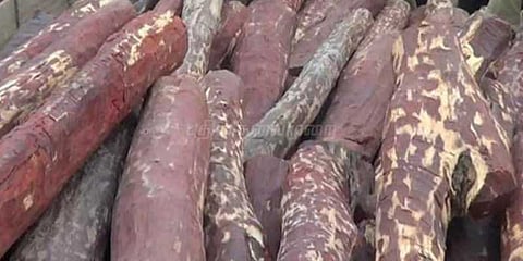 1 கோடி ரூபாய் மதிப்புள்ள செம்மரக்கட்டைகள் பறிமுதல்