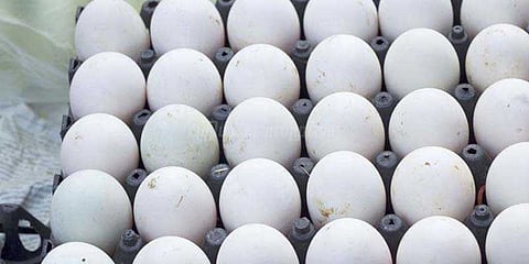 ஐயப்பன் கோயில் சீசன்: முட்டை விற்பனை சரிவு