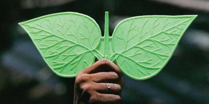 முதலமைச்சர் பழனிசாமி அணிக்கு இரட்டை இலை சின்னம்: தேர்தல் ஆணையம் அறிவிப்பு