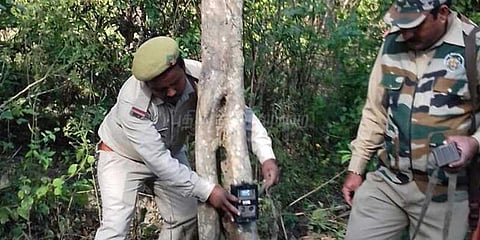 எச்சரிக்கையை மீறி காட்டுக்குள் சென்ற பெண்ணை அடித்துக்கொன்றது புலி