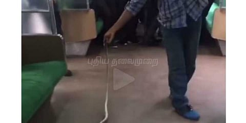 பாம்பை கையால் பிடித்துக் கொன்ற ஹீரோ......பரபரப்பாய்ப் பரவும் வீடியோ