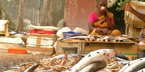 விஐபி தொகுதிதான் ஆர்.கே.நகர்.....பிரச்னைகளுக்குத்தான் விடிவு இல்லை என்கிறார்கள் மக்கள்