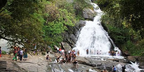 குரங்கு அருவியில் இனி யானை சவாரி செய்யலாம்