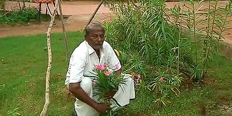 மரம் நடுவதில் ஆர்வம் காட்டும் முதியவர்: அரை நூற்றாண்டில் ஆயிரக்கணக்கில் மரங்கள்