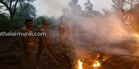 ஆயிரத்திற்கும் மேற்பட்ட கஞ்சா செடிகள் தீ வைத்து அழிப்பு