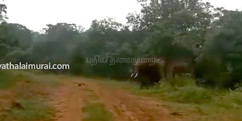 வனத்துறை வாகனத்தை துரத்திய காட்டு யானை: அச்சத்துடன் செல்போனில் பதிவு செய்த ஊழியர்