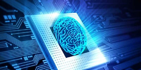 உலகின் முதல் மாய அரசியல்வாதி: விஞ்ஞானிகள் கண்டுபிடிப்பு