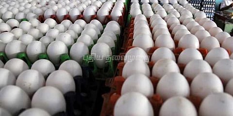 முட்டை விலை உயர்வு நியாயம்தானா? ஒருங்கிணைப்புக் கமிட்டிக்கு நோட்டீஸ்