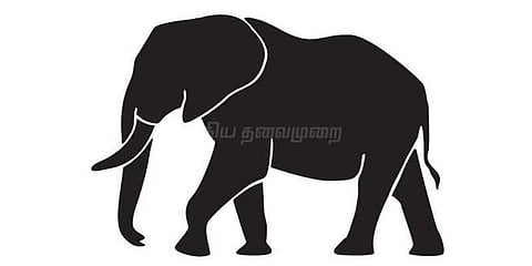 ரேசன் கடையை உடைத்து சேதப்படுத்திய காட்டு யானைகள்