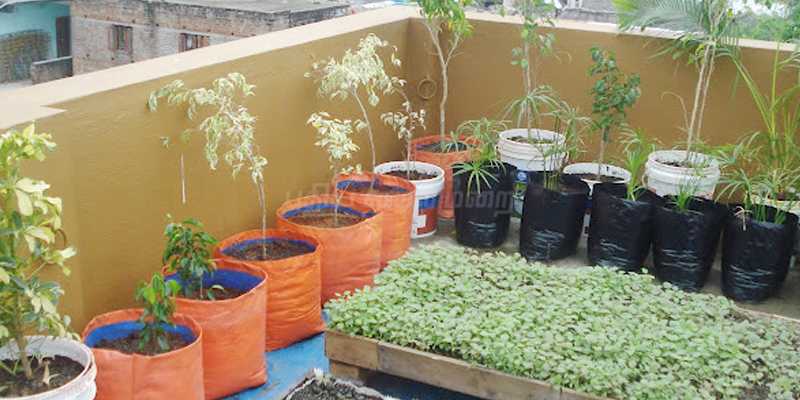 வீட்டுத் தோட்டம் அமைக்க மானிய விலையில் பொருட்கள் வழங்கும் தோட்டக்கலைத்துறை