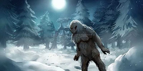 பனிமனிதன் என்று காலம்காலமாக மக்கள் நம்பியது கரடிதானாம்: டிஎன்ஏ ஆய்வில் முடிவு