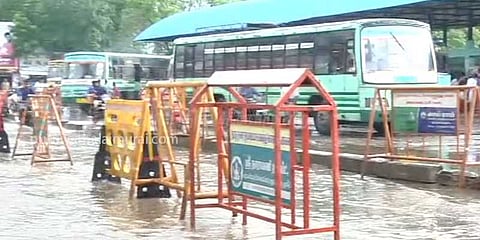 திருவாரூரில் கனமழை: மீண்டும் மூழ்கும் சம்பா பயிர்