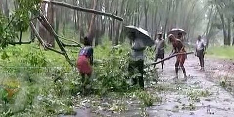 ‘ஒகி’ புயலால் குமரி மாவட்டத்தில் 4 பேர் உயிரிழப்பு