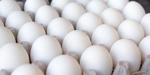 மக்களை அச்சுறுத்திய முட்டை விலை குறைந்தது