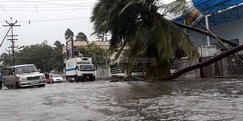 ஒகி புயலால் பாதிப்பு: பலி எண்ணிக்கை 5 ஆக உயர்வு