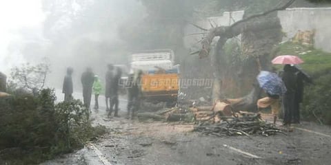 லட்சத்தீவு நோக்கி நகர்ந்த ஒகி: நீலகிரி, கோவை, தேனி, திண்டுக்கல்லில் மிக கனமழைக்கு வாய்ப்பு