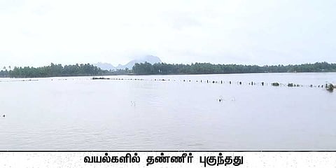 திருவாரூரில் புகுந்த கடல் நீர்: 500 ஏக்கர் விளைநிலங்கள் மூழ்கின