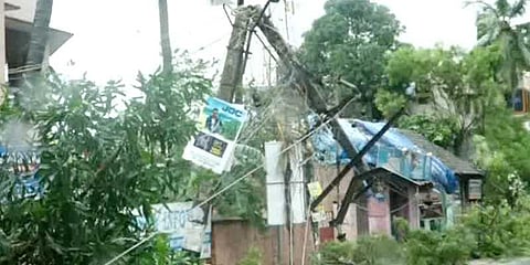 ஒகி புயல்: குமரியில் பலியானோர் எண்ணிக்கை 10ஆக உயர்வு