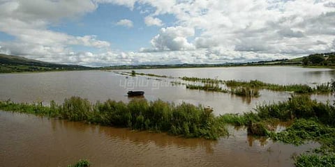 திருவாரூரில் தொடர்மழை : சம்பா பயிர்கள் நீரில் மூழ்கின