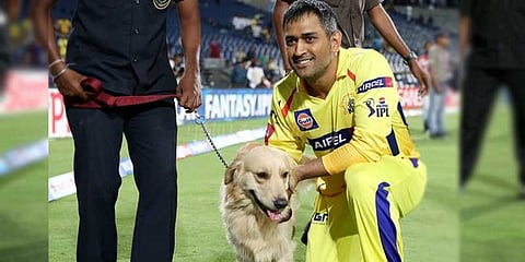 டிச.13ல் தோனி ஓய்வு