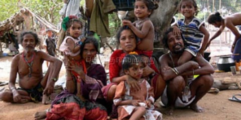 நரிக்குறவர் இன மக்களுக்கு பட்டா வழங்க நீதிமன்றம் உத்தரவு