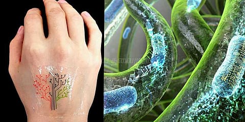 இளசுகளை ஈர்க்கும் 3டி டாட்டூஸ்