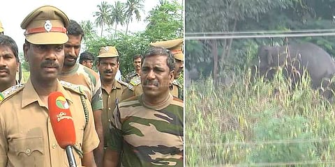 மனித-யானை மோதல்: ஓராண்டில் 22 யானைகள் 22 மனிதர்கள் பலி