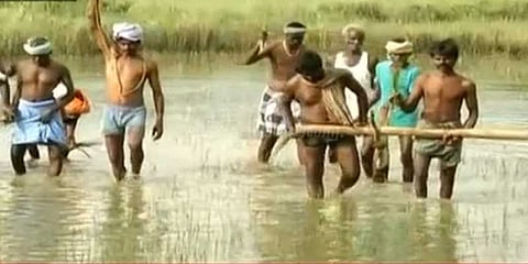 நாகையில் மனிதர்களை பூட்டி ஏர் உழுது போராட்டம்